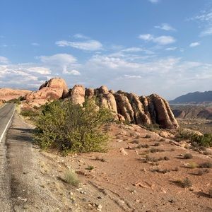 Meet your Posher, Sylvia